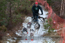 Racing Team in the Siberian Husky Club of GB Arden Grange Aviemore Sled Dog Rally 2012.