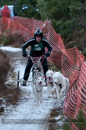 Racing Team in the Siberian Husky Club of GB Arden Grange Aviemore Sled Dog Rally 2012.