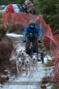 Racing Team in the Siberian Husky Club of GB Arden Grange Aviemore Sled Dog Rally 2012.
