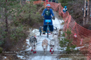 Racing Team in the Siberian Husky Club of GB Arden Grange Aviemore Sled Dog Rally 2012.