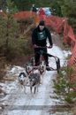 Racing Team in the Siberian Husky Club of GB Arden Grange Aviemore Sled Dog Rally 2012.