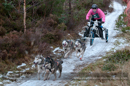Class C dog sled racing team