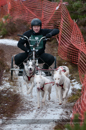 Racing Team in the Siberian Husky Club of GB Arden Grange Aviemore Sled Dog Rally 2012.