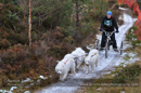 Class C2 dog sled racing team