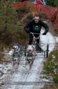 Racing Team in the Siberian Husky Club of GB Arden Grange Aviemore Sled Dog Rally 2012.