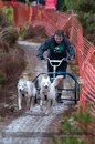Racing Team in the Siberian Husky Club of GB Arden Grange Aviemore Sled Dog Rally 2012.