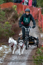 Racing Team in the Siberian Husky Club of GB Arden Grange Aviemore Sled Dog Rally 2012.