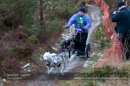 Racing Team in the Siberian Husky Club of GB Arden Grange Aviemore Sled Dog Rally 2012.