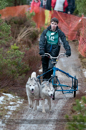 Racing Team in the Siberian Husky Club of GB Arden Grange Aviemore Sled Dog Rally 2012.