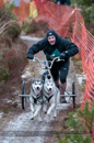 Racing Team in the Siberian Husky Club of GB Arden Grange Aviemore Sled Dog Rally 2012.
