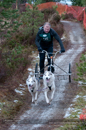 Racing Team in the Siberian Husky Club of GB Arden Grange Aviemore Sled Dog Rally 2012.