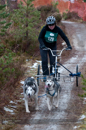 Racing Team in the Siberian Husky Club of GB Arden Grange Aviemore Sled Dog Rally 2012.