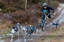 Class D dog sled racing team