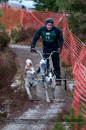 Racing Team in the Siberian Husky Club of GB Arden Grange Aviemore Sled Dog Rally 2012.