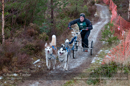Racing Team in the Siberian Husky Club of GB Arden Grange Aviemore Sled Dog Rally 2012.