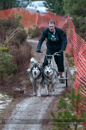 Racing Team in the Siberian Husky Club of GB Arden Grange Aviemore Sled Dog Rally 2012.