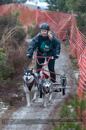 Racing Team in the Siberian Husky Club of GB Arden Grange Aviemore Sled Dog Rally 2012.