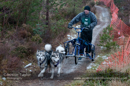 Racing Team in the Siberian Husky Club of GB Arden Grange Aviemore Sled Dog Rally 2012.