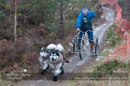 Racing Team in the Siberian Husky Club of GB Arden Grange Aviemore Sled Dog Rally 2012.