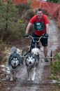 Racing Team in the Siberian Husky Club of GB Arden Grange Aviemore Sled Dog Rally 2012.