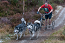 Class D2 dog sled racing team