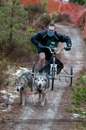 Racing Team in the Siberian Husky Club of GB Arden Grange Aviemore Sled Dog Rally 2012.