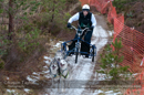 Racing Team in the Siberian Husky Club of GB Arden Grange Aviemore Sled Dog Rally 2012.