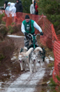 Racing Team in the Siberian Husky Club of GB Arden Grange Aviemore Sled Dog Rally 2012.