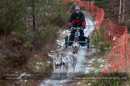 Racing Team in the Siberian Husky Club of GB Arden Grange Aviemore Sled Dog Rally 2012.