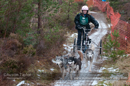 Racing Team in the Siberian Husky Club of GB Arden Grange Aviemore Sled Dog Rally 2012.