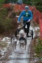 Racing Team in the Siberian Husky Club of GB Arden Grange Aviemore Sled Dog Rally 2012.