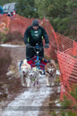 Racing Team in the Siberian Husky Club of GB Arden Grange Aviemore Sled Dog Rally 2012.