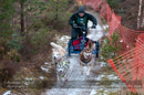 Racing Team in the Siberian Husky Club of GB Arden Grange Aviemore Sled Dog Rally 2012.