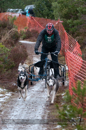 Racing Team in the Siberian Husky Club of GB Arden Grange Aviemore Sled Dog Rally 2012.