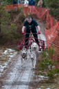 Racing Team in the Siberian Husky Club of GB Arden Grange Aviemore Sled Dog Rally 2012.
