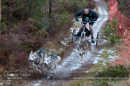 Racing Team in the Siberian Husky Club of GB Arden Grange Aviemore Sled Dog Rally 2012.