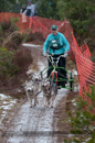 Racing Team in the Siberian Husky Club of GB Arden Grange Aviemore Sled Dog Rally 2012.