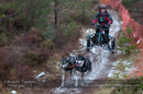 Racing Team in the Siberian Husky Club of GB Arden Grange Aviemore Sled Dog Rally 2012.