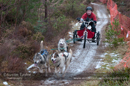 Class E dog sled racing team