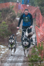Racing Team in the Siberian Husky Club of GB Arden Grange Aviemore Sled Dog Rally 2012.