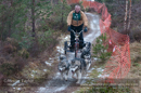 Racing Team in the Siberian Husky Club of GB Arden Grange Aviemore Sled Dog Rally 2012.