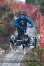 Racing Team in the Siberian Husky Club of GB Arden Grange Aviemore Sled Dog Rally 2012.