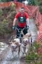 Racing Team in the Siberian Husky Club of GB Arden Grange Aviemore Sled Dog Rally 2012.