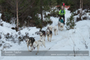 Class A dog sled racing team