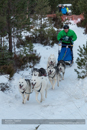 Class B Racing Team in the 30th Siberian Husky Club of GB Arden Grange Aviemore Sled Dog Rally 2013
