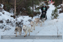 Class B Racing Team in the 30th Siberian Husky Club of GB Arden Grange Aviemore Sled Dog Rally 2013