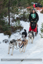 Class C Racing Team in the 30th Siberian Husky Club of GB Arden Grange Aviemore Sled Dog Rally 2013