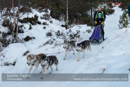 Class C Racing Team in the 30th Siberian Husky Club of GB Arden Grange Aviemore Sled Dog Rally 2013