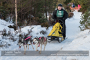 Class D Racing Team in the 30th Siberian Husky Club of GB Arden Grange Aviemore Sled Dog Rally 2013