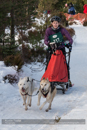 Class D Racing Team in the 30th Siberian Husky Club of GB Arden Grange Aviemore Sled Dog Rally 2013